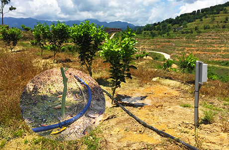 绿橙滴头滴灌-海南琼中300亩水肥自动灌溉